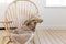 Wooden country style chair with textured throw blanket and space