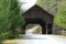 Wooden Covered Bridge in DuPont Forest