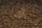 Wooden Cracked Grunge Background