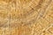 Wooden cracks texture background