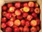 Wooden crate box full of fresh apples