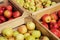 Wooden crate box full of fresh apples