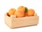 Wooden crate of delicious ripe sweet apricots isolated