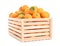 Wooden crate of delicious ripe sweet apricots isolated on