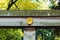 Wooden crossbar with gold rosette, Tokyo, Japan. Close-up.