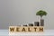 Wooden cube with the word Wealth with Tree and Coin Piles growing growing up investment ideas