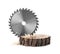 Wooden cut with saw disk isolated. Carpenter`s tool