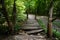 Wooden decayed bridge made of logs