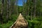 Wooden deck and bridge on the trail to Morgan falls and st Peter's dome