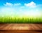 Wooden deck in front of green grass and blue sky