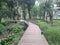 Wooden deck in an urban forest with shady trees