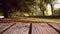 Wooden deck with a view of park trees