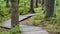 Wooden decking on an ecological trail.