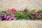 Wooden decking or flooring and plant in garden decorative