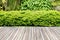 Wooden decking and plant garden decor.