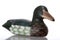 Wooden Decoy Duck