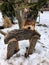 Wooden deer statute in snow