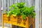 Wooden design potager kitchen table with vegetables and herbs in a garden