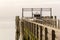 Wooden Dock with Birds Sitting on it