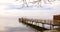 Wooden Dock with Birds during Winter Season