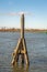 Wooden dolphin in the water of a Dutch river