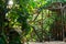 Wooden dome balcony, outdoor garden roof