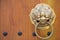 Wooden door with antique door knocker