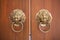 Wooden door with antique door knocker