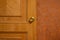 Wooden door with close-up handle, brown door