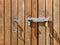 The wooden door in natural color is locked with two padlocks. Painted with colorless varnish. Hanging metal hooks. Close-up