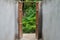 Wooden door open to green tropical plant in coffee cafes