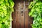 Wooden door overgrown with ivy