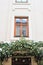 Wooden door visor decorated fir branches, balls and snowflakes