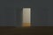 Wooden door with white night scene, 3d rendering