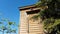 Wooden Dovecote With Pigeon In A City Park