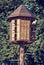 Wooden dovecote with pigeons in forest