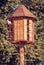 Wooden dovecote with pigeons in forest, red filter