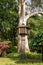 Wooden dovecote on public park