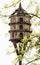 Wooden dovecote and tree branches