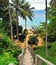 Wooden down stairs to the beach, with palms around. Phuket, Thai