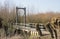 Wooden drawbridge in nature with willows