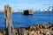 Wooden driftwood with moss and rocky shore against the background of the port in Ventspils, Latvia