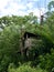 Wooden dubiously built children`s house in a tree, clubhouse in a tree