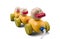 Wooden duck toy family train with colorful parts isolated over white with clipping path