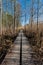 Wooden duckboard path between the reeds around the MerrasjÃ¤rvi Lake in Lahti, Finland