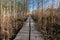 Wooden duckboard path between the reeds around the MerrasjÃ¤rvi Lake in Lahti, Finland