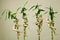 Wooden dummies clinging onto lucky bamboo plants. Conceptual image