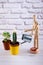 Wooden dummy watering flowers, small cactua and suculent