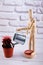Wooden dummy watering small cactus with red needles with metallic can