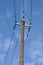 Wooden electric pole